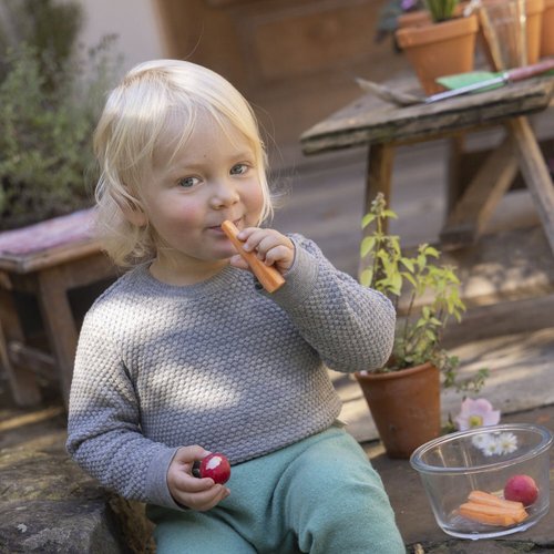 Junges Kind im grauen disana Wabenstrick-Pullover isst eine Karotte